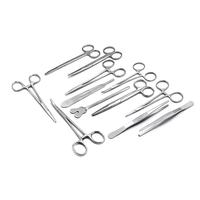 Kit d'instruments chirurgicaux vétérinaires en acier inoxydable 13 pièces de haute qualité ensemble d'instruments de chirurgie mineure manuelle boîte de stérilisation