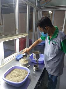 พริกไทยดำ พริกไทยขาว เวียดนาม พริกไทยแห้งทั้งเม็ด ขายส่งจากโรงงาน ส่งออก ขายส่งเครื่องเทศ ราคาพิเศษ - Product Image 3