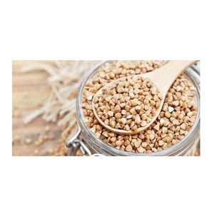 Proveedor Mayorista de Granos de Trigo Sarraceno Orgánico Natural de Calidad / Semillas de Trigo Sarraceno / Granos a Granel Listos para Exportar - Product Image 4