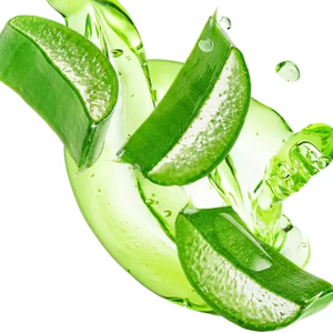 Gelée d'Aloe Vera 100% Pure et Naturelle pour Cosmétiques et Boissons // MR. KEVIN - Product Image 3