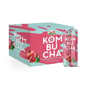 250ml Kombucha Granatapfel geschmack Alkoholfreier fermentierter Tee OEM/ODM Box Bester Großhandels preis in Vietnam Kostenlose Probe 12 Dosen