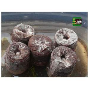 ECO COCO COIR PELLETS BIO SEED STARTER DISK POUR Pépinière SERRE ET JARDIN PROJET VENTE EN GROS - Product Image 3