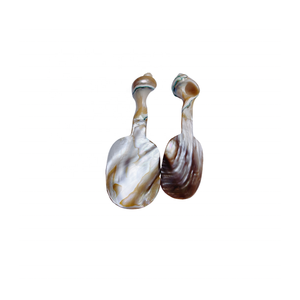 Cuillère à coquillages et cuillère en nacre fabriquée au Vietnam pour la vaisselle utilisée par l'exportateur 99 Gold Data - Product Image 6