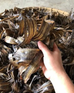 [NEW PRODUCT 2023] DRIED EARTHWORM ORIGINAL VIETNAM WITH COMPETITIVE PRICE HIGH QUALITY for EXPORT - Product Image 5