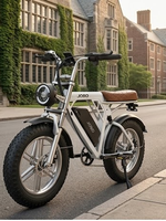 Fabricant en gros de vélos électriques UE, États-Unis, Afrique – Vélo électrique tout-terrain 20 pouces 750W à pneus larges, style cyclomoteur rétro, haute vitesse