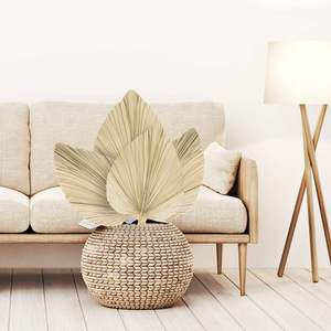 Decoración del Hogar, Decoración de Bodas, Jarrón, Arreglos Secos Bohemios, Ramo de Palmeras Tropicales Naturales, Abanicos de Hojas de Palma con Tallo - Product Image 6