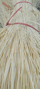 เปลือกหวายตัดแต่งจากธรรมชาติมีหลายขนาดวัสดุเป็นมิตรกับสิ่งแวดล้อม - Product Image 5