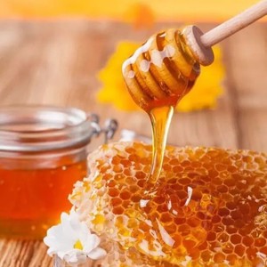 Vietnam Miel naturel en nid d'abeille-Comestible & Vente en gros - Product Image 6