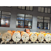 Câble électrique haute tension pour véhicule électrique 125 degrés 900V EVR 0,75mm2 NON ÉCRÉNÉ Câble haute tension orange pour véhicule électrique
