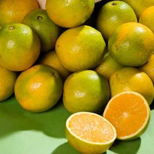 Oranges fraîches de qualité supérieure, juteuses et sucrées, en gros, oranges fraîches biologiques - Product Image 3