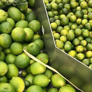 Citrons verts et jaunes frais, cultivés naturellement, fruits de citron de haute qualité en gros - Product Image 3
