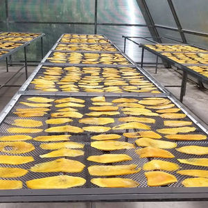 Mango en Rodajas Seco y Fresco con Sal de Chile |   Snacks Picantes, Suaves y Masticables |   Sabor Dulce, Sabroso y Ácido, Bolsa Sellada de 100g/200g, 6 Meses de Duración - Product Image 1