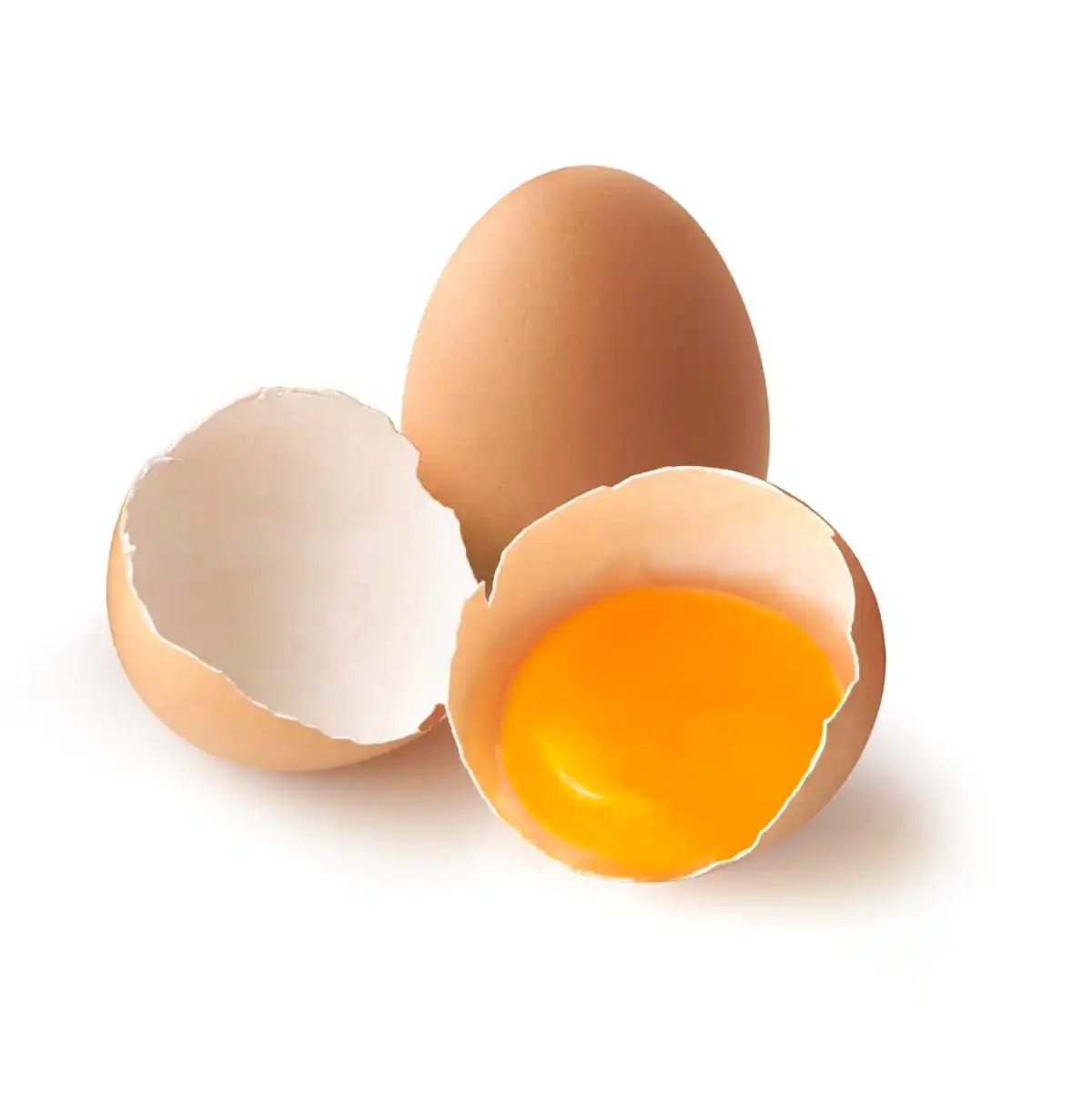 Satılık organik taze tavuk yumurta döllenmiş kuluçka