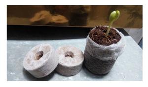 Bouchons de fibre de coco prêts à expédier en gros granulés de fibre de coco tourbe Jiffy pour la culture de plantes du fabricant 99GD Viet Nam - Product Image 2