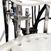 Machine de remplissage automatique de petits bocaux en verre Machine de capsulage remplissante de lavage de bouteilles en plastique