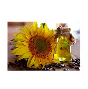 Aceite de girasol natural de alta calidad refinado en botellas de plástico de 5 litros del fabricante aceite refinado de girasol - Product Image 6