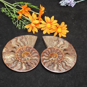 Vente en gros <span class=keywords><strong>de</strong></span> spécimen <span class=keywords><strong>de</strong></span> conque d'<span class=keywords><strong>escargot</strong></span> fossilisé d'ammonite naturelle polie, pierre <span class=keywords><strong>de</strong></span> guérison en cristal, décoration <span class=keywords><strong>de</strong></span> vacances Feng Shui - Product Image 3