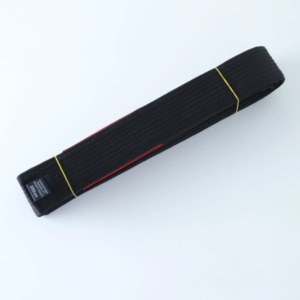 เข็มขัดชุดกิโมโนสไตล์บราซิลเลียนเลียน Jitsu ศิลปะการต่อสู้โลโก้ตาม100% แบบมืออาชีพ - Product Image 4