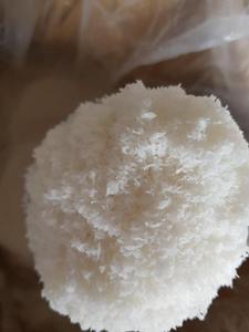 Poudre de noix de coco desséchée entièrement blanche d'origine du Vietnam conservée avec de la viande de noix de coco au goût sucré - Product Image 3