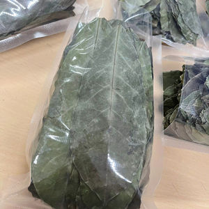 Prix de gros Thé Corossol Feuille Thé 100% Graviola Feuilles du Vietnam - Product Image 1