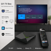 Boîtier de streaming intelligent Q11 Android 14 S905X4 4 Go 32 Go 4K 1000M LAN WIFI BT Widevine L1 1 pièce MOQ Logo personnalisé Application CMS Télécommande Push Prix