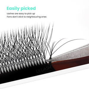 Pestañas Clover 5D W, Cruelty-Free, Base Plana, Abanicos Preformados en Forma de W, Tallo Largo, Pestañas Naturales al por Mayor, Larga Duración - Product Image 5