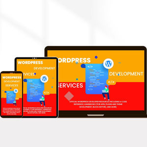 Ofreciendo un desarrollador experimentado de WordPress con habilidades avanzadas en tema personalizado y desarrollo de complementos - Product Image 1