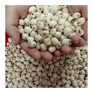 Graines de lotus séchées, matière première végétale propre, adaptées à la production de snacks et aux applications culinaires, récoltées au Vietnam - Product Image 6