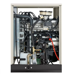 Generador de Reserva Auténtico RG03824ANAX de 38kW Refrigerado por Líquidos, Monofásico 120/240V, Nuevo en Stock - Product Image 2