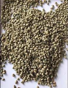 Granos de café de calidad superior PHALCO Robusta Grado 1 60kg Nueva cosecha de fábrica vietnamita Procesamiento verde Embalaje de bolsas de yute - Product Image 3