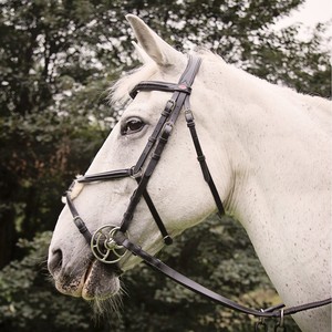 Mexican Bridle es una brida totalmente ajustable con banda elevada y nasal para proporcionar un mejor ajuste al caballo - Product Image 4
