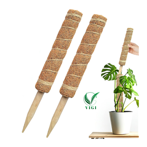 Poste de planta de fibra de coco comprimido de Vietnam utilizado para apoyar el crecimiento y la decoración Natural del Hogar - Product Image 3