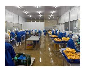 Morceaux tropicaux de mangue congelés à l'arôme doux-Dés de mangue congelés Vietnam selon des processus stricts Idéal pour les boissons d'été - Product Image 4