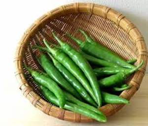 พริกเขียวสดพรีเมียมสำหรับตลาดนำเข้าตะวันออกกลาง - Product Image 4