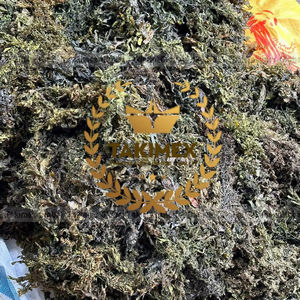 Alga Marina Sargassum Seca de Alta Calidad/Alga Marina Deshidratada para Venta al por Mayor desde Vietnam a Precio Económico - Product Image 1