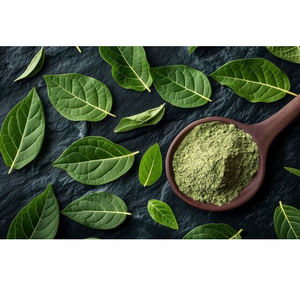 Extracto de Hoja de Gurmar en Polvo, Calidad Premium, Puro y Natural, Grado Alimenticio, 25 KG, Suministro al por Mayor, Precio Competitivo - Product Image 4