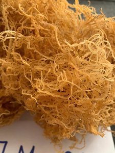 COUTURE IRLANDAISE NATURELLE PREMIUM DU VIETNAM - Product Image 3