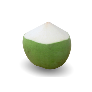 Approvisionnement mondial de noix de coco fraîches matures biologiques avec coquille directement de Ben Tre pour l'exportation - Product Image 5