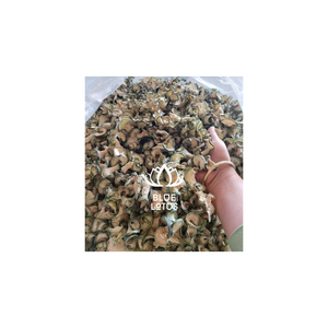 Experimente El suave sabor del Melón de Invierno seco, un ingrediente perfecto para postres, tés y artesanías creativas - Product Image 1