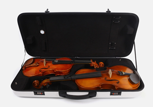 תיק מרובע כפול פיברגלס/מארז כינור סיבי פחמן מותאם אישית - Product Image 6