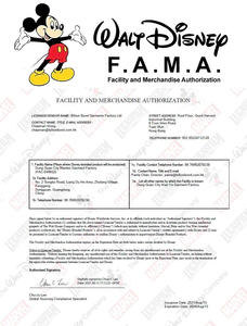 IsneyFsize size stomstomstomstomstomstomgh GH igital camisetas con Logo stogo enjuagado - Product Image 5