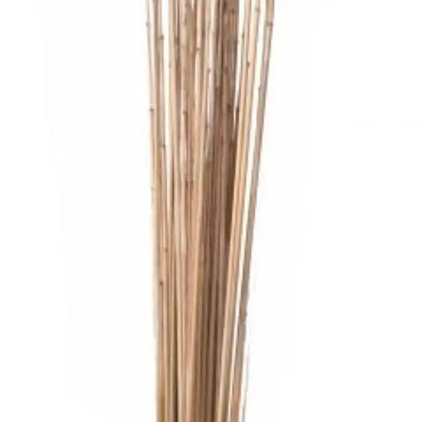 Eco Friendly 100% Natural Bamboo Golden Sticks For Garden Plants Dried Flower Arrangement