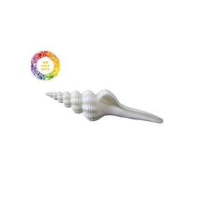 CONCHA DE CONCHA PULIDA FORMA ESPECIAL RECOGIDA DE 99 DATOS DE ORO VIETNAM - Product Image 2