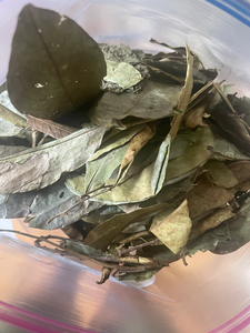Premium 100% daun Soursop kering ORGANIK MURNI-seluruh daun alami sempurna untuk teh Herbal dan Kesehatan