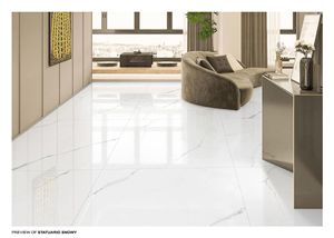 1200x1200mm Matt Finish Porcelain Tiles Premium <b>Large</b> Format Flooring for Homes, Offices, Commercial & Interior Projects - Product Image 3