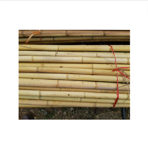 ไม้ไผ่ตรงขายดีติดอันดับต้น ๆ สําหรับพืชสวนเสาไม้ไผ่ความยาวที่กําหนดเองจากเวียดนาม - Product Image 1