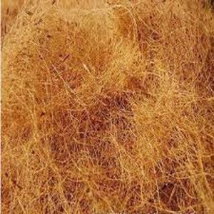 Fibra de coco natural de primera calidad, ideal para colchón de cepillo, alfombrilla de cuerda y uso de tapicería, adecuada para los mercados de exportación globales - Product Image 4