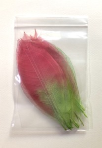 ใบไม้ยางโครงกระดูก - Product Image 3