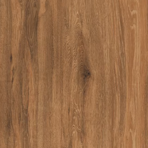 ZION Brown Wood 600x1200mm Carreaux de porcelaine Design moderne élégant pour murs intérieurs pour appartement Villa entrepôt salle de bain - Product Image 1