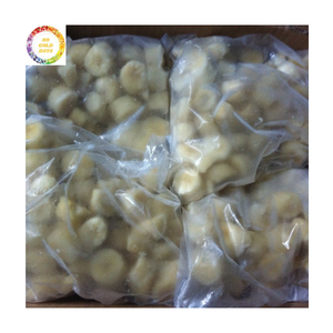 Vente en gros en vrac 100% banane séchée congelée naturelle meilleur prix pour l'exportation 2025 - Product Image 5